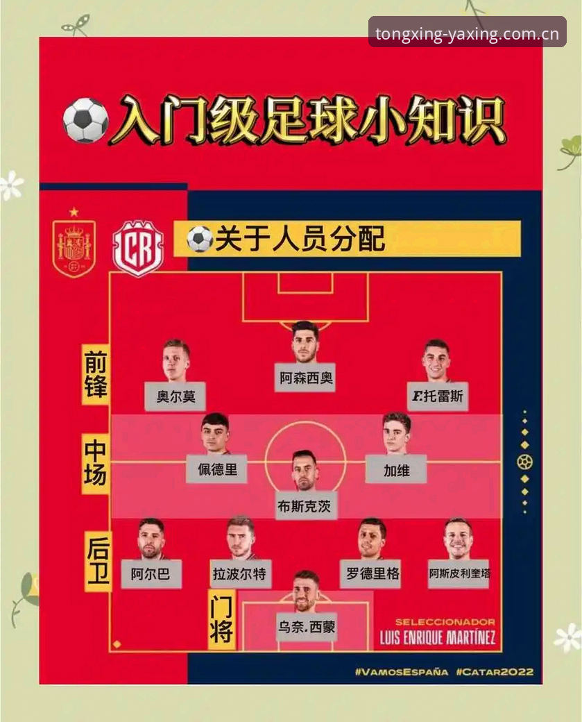 世界杯新规下裁判权力膨胀，球迷如何看懂门道？